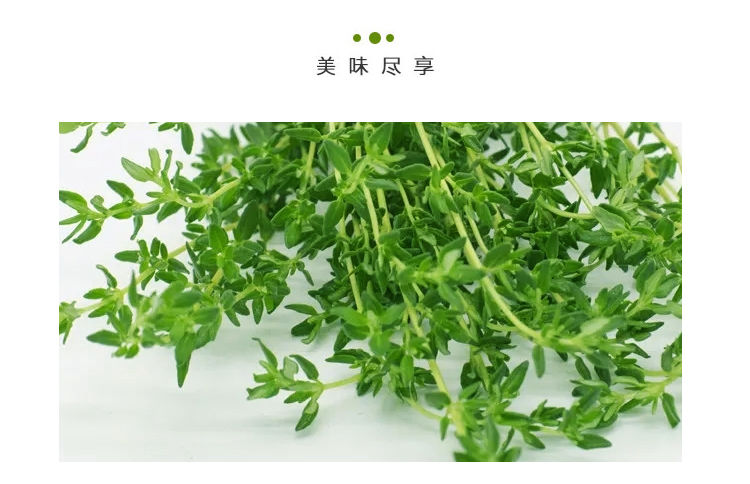 百里香西餐香料香叶调料香草麝香草西餐泰餐烧烤食用调料200g百里香