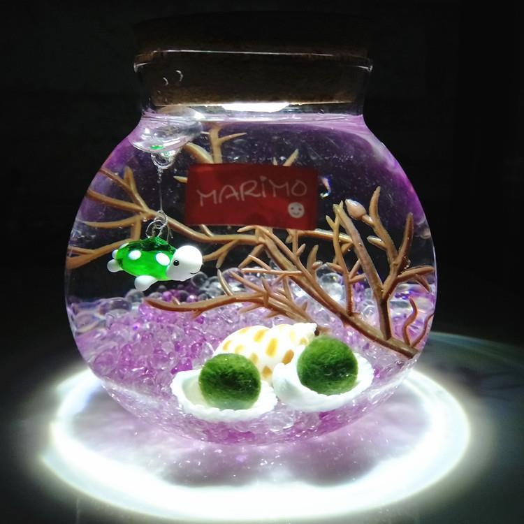marimo海藻球水培植物海藻球微景观生态瓶苔藓创意盆栽玻璃瓶 圣诞树