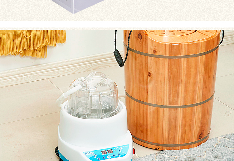 熏药机熏蒸机家用蒸汽泡脚用药包熏蒸美容院spa发汗恒温熏蒸仪2l熏蒸