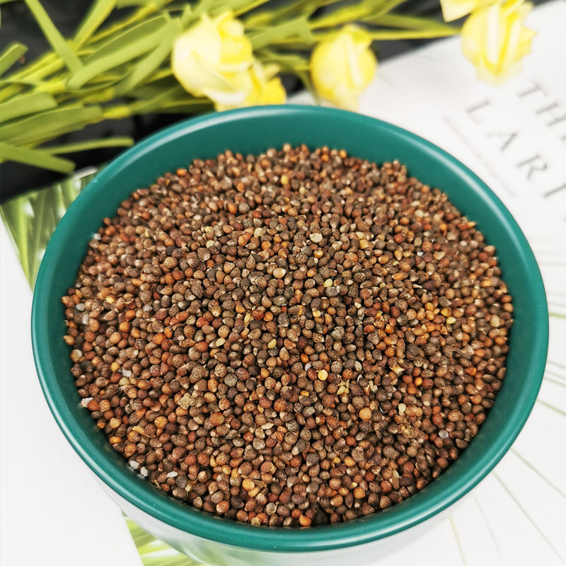 伟博白酥麻2斤苏麻籽农家酥麻黑苏麻250g生酥麻油性引子馅料食用炖鸭