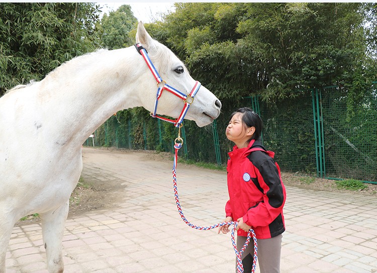 新品推荐￥牵马笼头牵马绳马龙头高强度防磨结实用舒适柔软马具