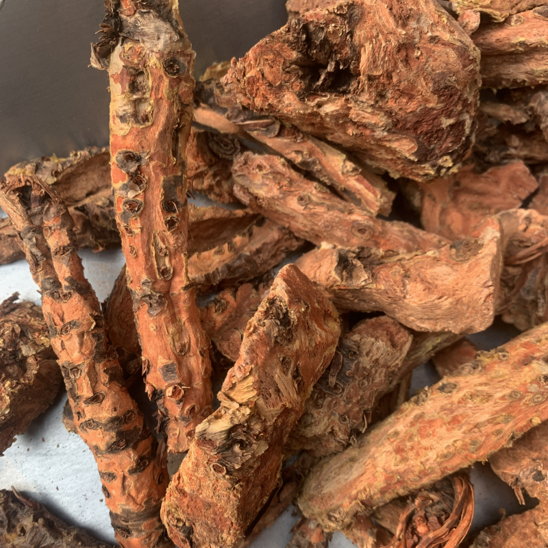 成都中药材批发精选红景天藏药西藏大花红景天抗高反1000克