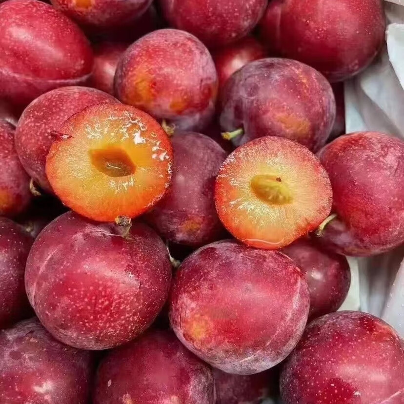 现货当季澳洲樱桃李4斤高端新鲜时令水果孕妇李子 1斤【图片 价格