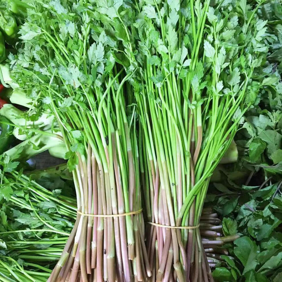 新鲜蔬菜原生态水芹菜小叶水芹菜无节水芹农家自种 2斤【图片 价格