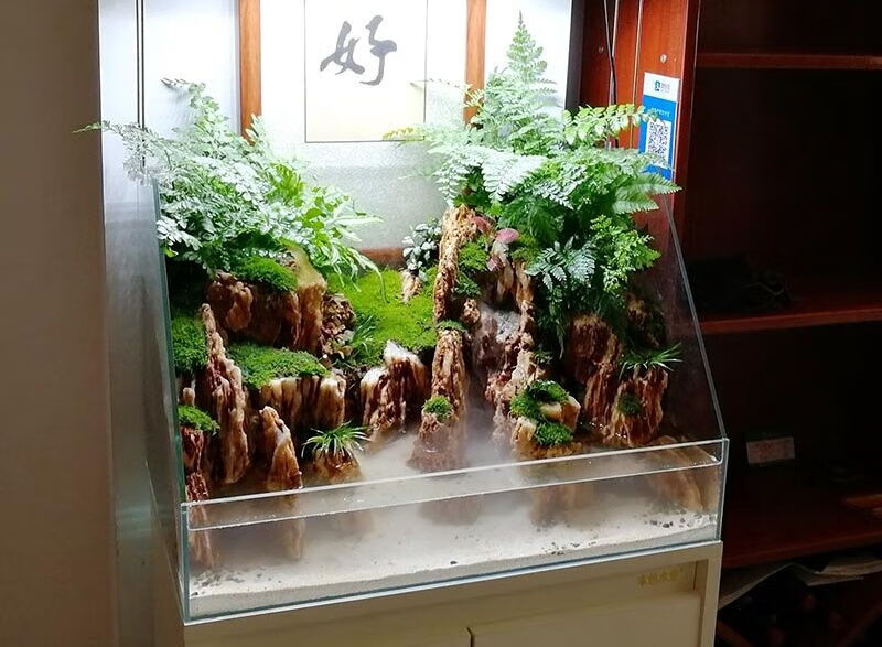 超白水陆鱼缸植物造景缸微景观斜口造景缸金晶玻璃两栖生态缸雨林