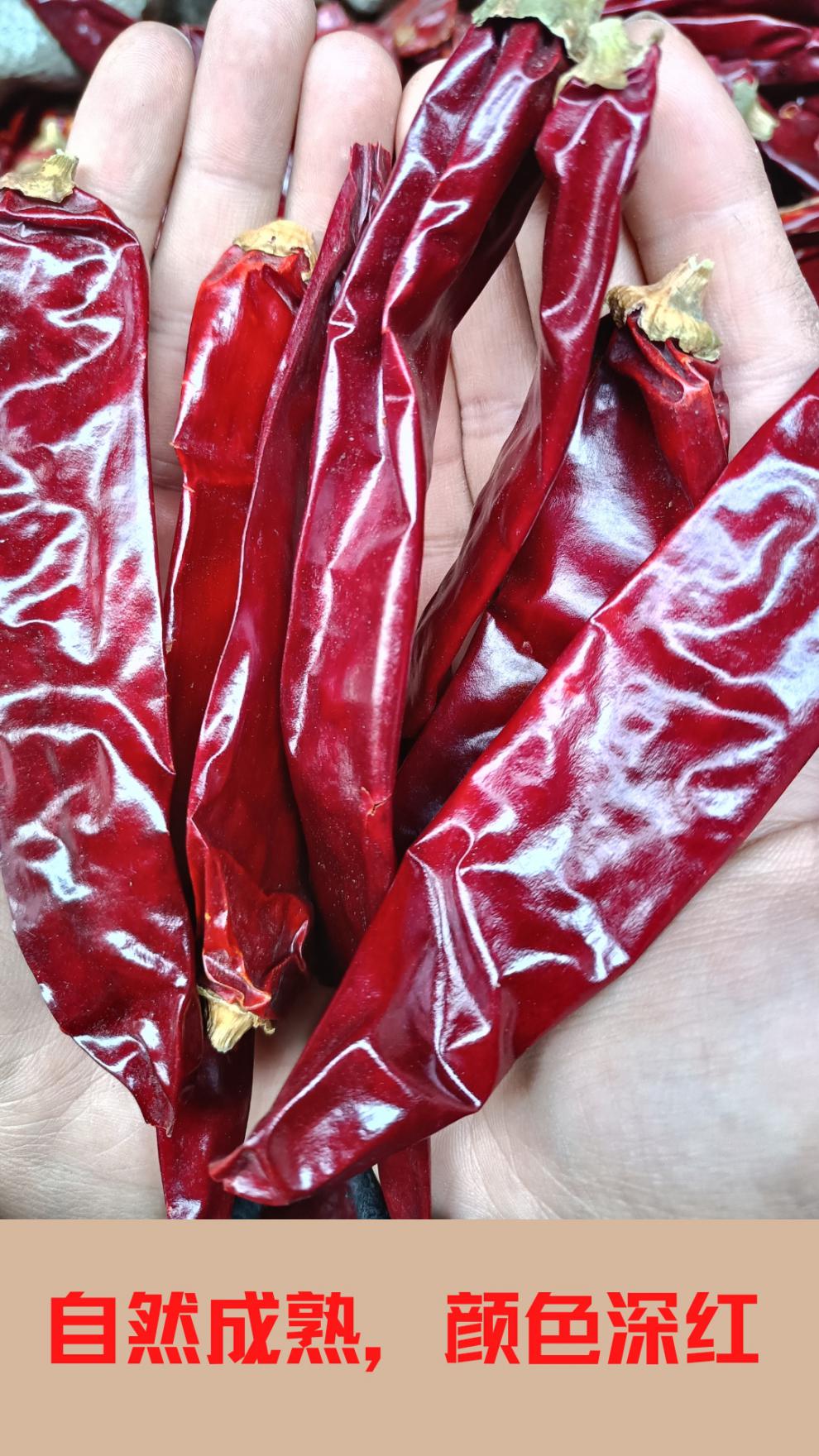 新疆板椒铁皮椒甜椒不辣干辣椒辣皮子天然上色打粉颜色红500g 2500g