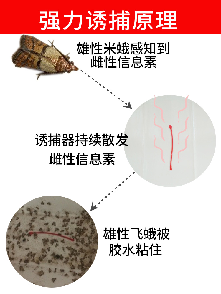 2022新款飞蛾诱捕器家用米面蛾诱捕器除灭驱厨房杀虫剂粮食飞蛾米虫