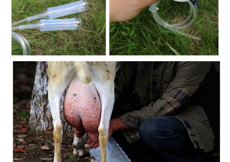 牛羊用吸奶器吸羊奶的挤奶器家用电动奶羊奶牛挤奶机挤羊奶器牛电动六