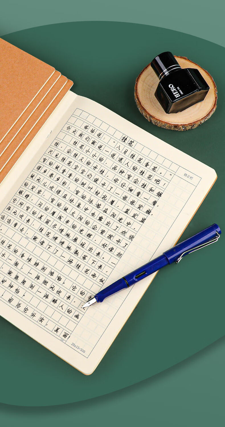 fgacct10本车线牛皮纸作文本小学生三四年级语文课时作业本16k开统一