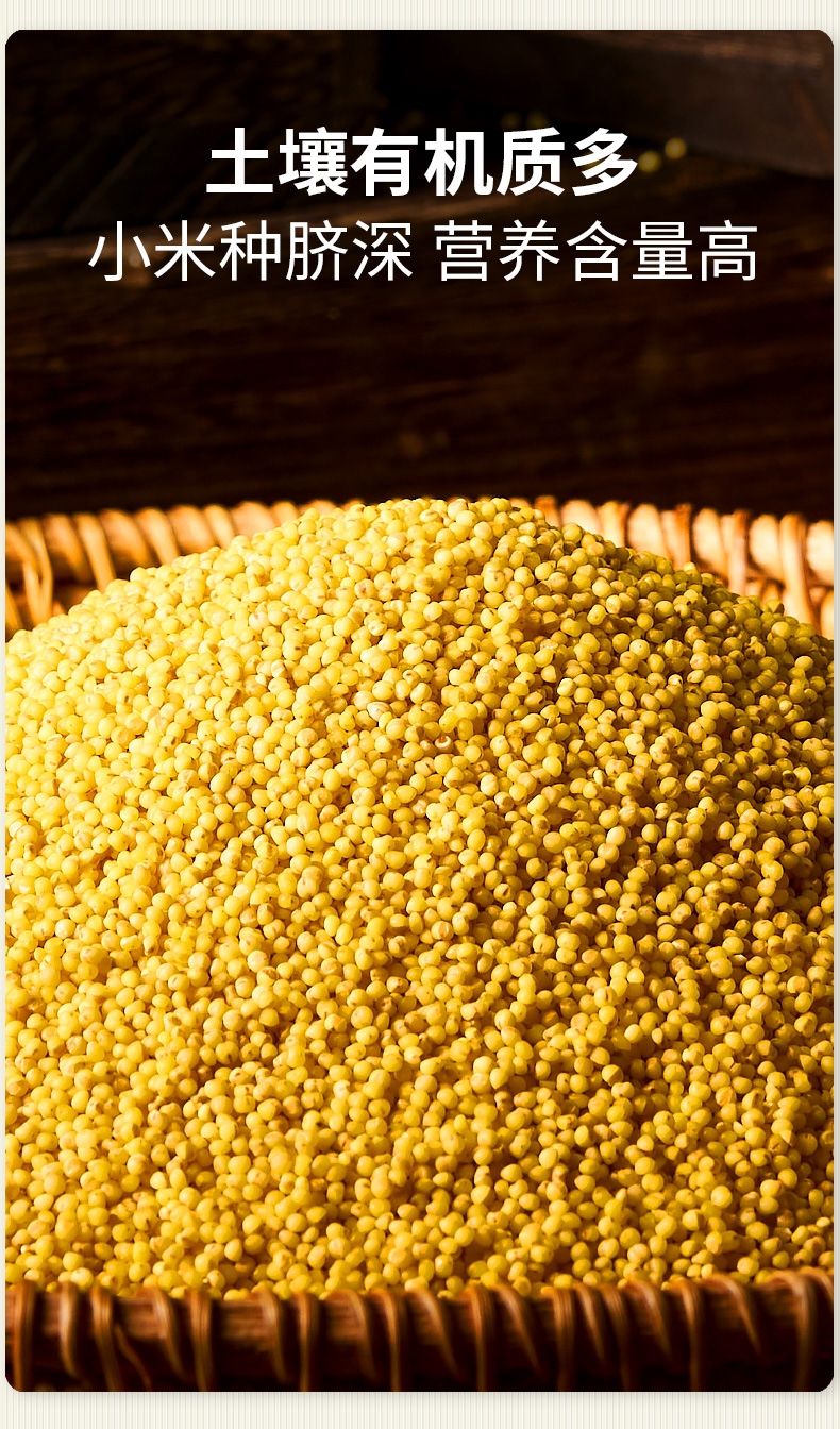 富硒小米5斤高塔梁内蒙河套黄小米粥小黄米新米五谷杂粮