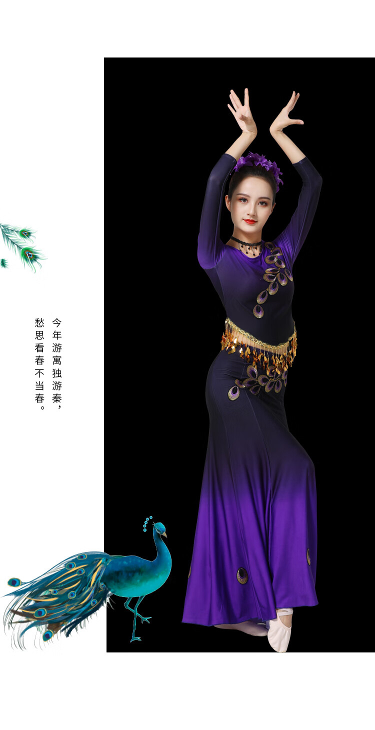 云南西双版纳傣族服装女舞蹈服少数民族葫芦丝演出服孔雀舞表演服长袖