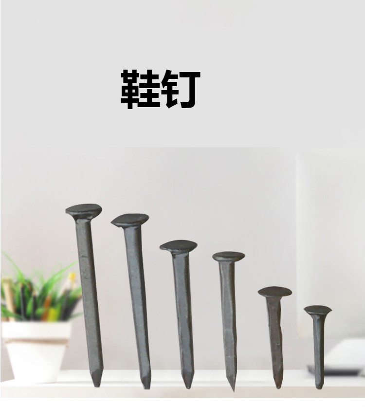 钉鞋鞋钉修木板小钉圆头臭皮钉秋皮迷你铁钉大头木工钉子补鞋小号总长