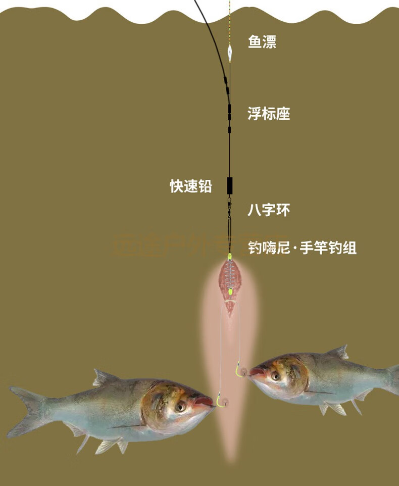 鱼钩绑好成品新型鱼钓进口手竿弹簧鲢鱼专用钓鱼神器浮钓鲢鳙钓组 包