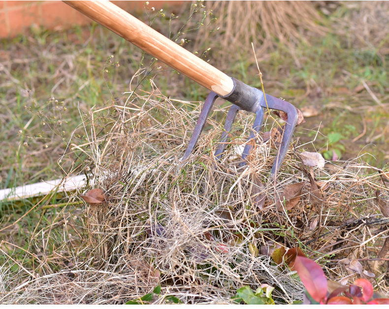 农具大全种地工具农用刨地挖土种地三齿钉耙铁耙平地耙子农具工具大全