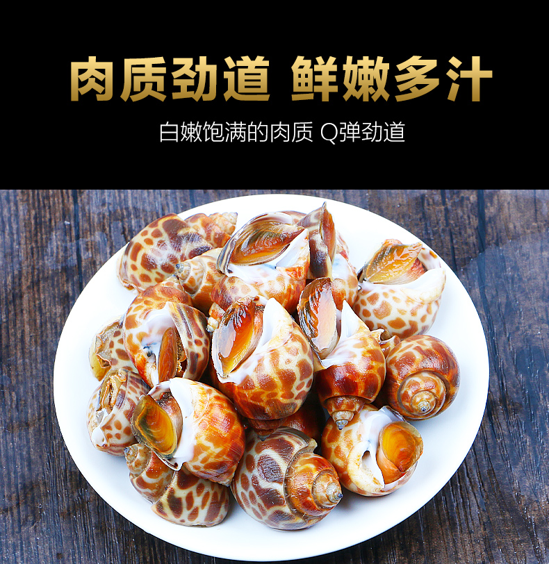 花螺新鲜海鲜青岛水产鲜活小花螺田螺泥螺海螺【图片
