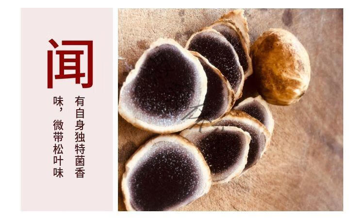 春光岛 云南新鲜马皮泡新鲜马勃菌马粪包马屁包鸡枞山珍菌菇 250g