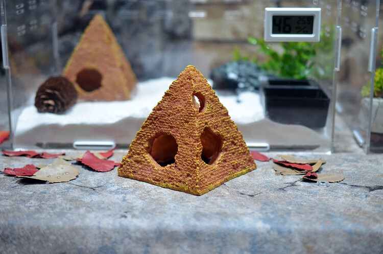 黑壳虾繁殖窝虾屋躲避水晶虾繁殖窝造景虾房黑壳虾躲避屋天然陶瓷蜂窝