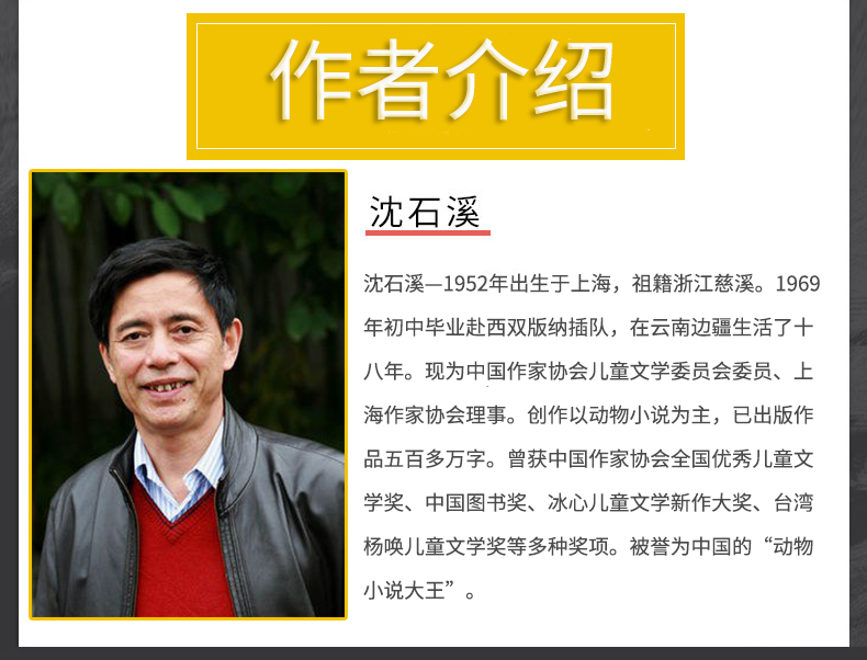 《雪豹悲歌沈石溪动物小说单本沈石溪的书正版小学生课