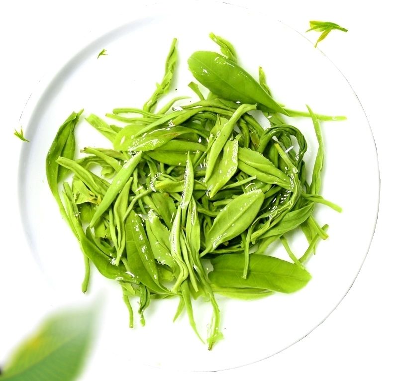 2021新茶紫阳原产紫阳高香毛尖500克陕南绿茶安康绿茶陕茶紫阳毛尖