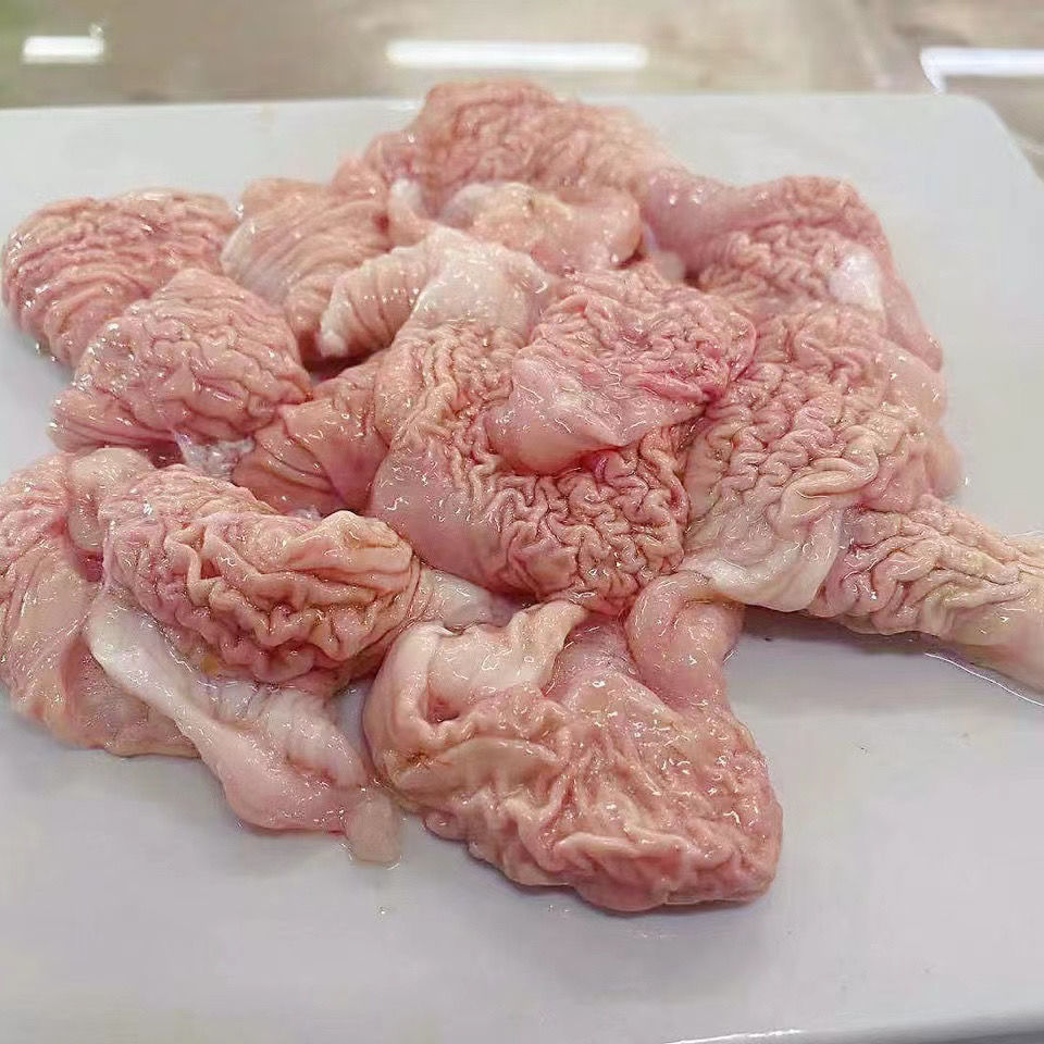 佳士禾 新鲜现取冰冻鮰鱼肚 巴沙鱼肚 花胶鱼胶鱼鳔酒店餐饮食材供应