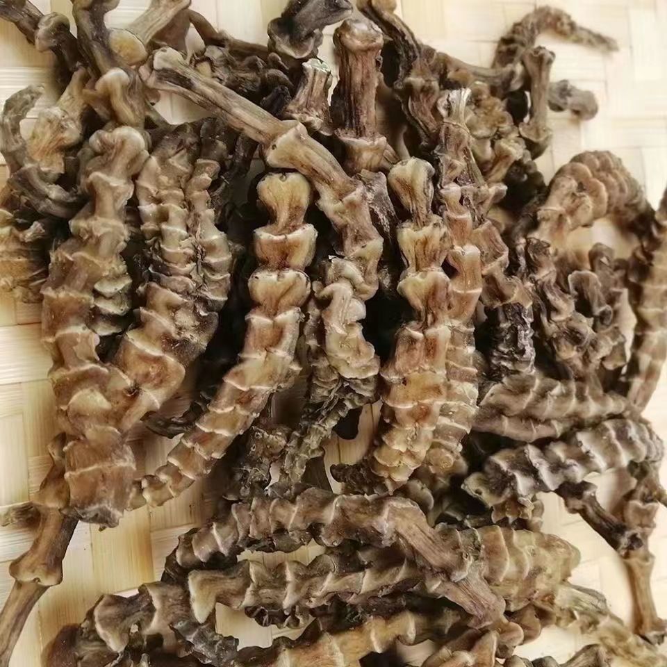 顶天柱云南野生特级顶天柱泡茶不老草回阳草起阳草泡酒炖汤泡酒料