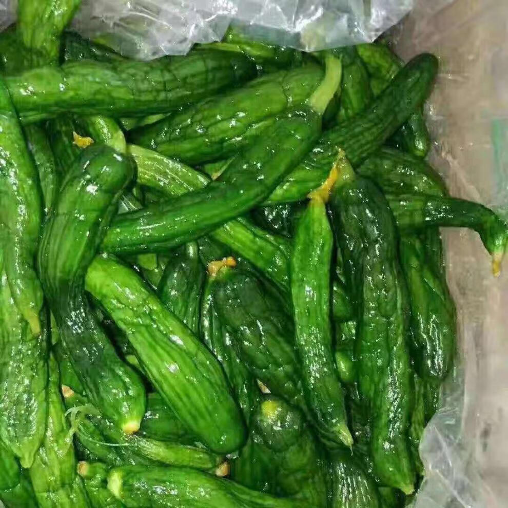 特色小黄瓜咸菜 绿黄瓜咸菜泡菜 自制腌制脆黄瓜嫩黄瓜小咸菜 龙觇 买
