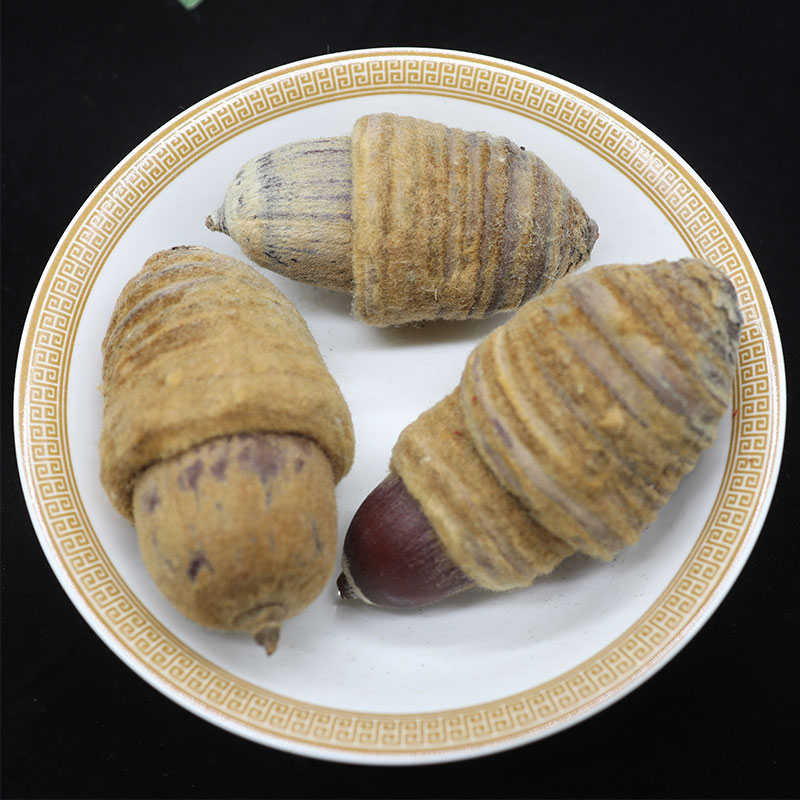 狗鞭果广西野生风流果猪仔粒男人泡酒料中药材干货毛毛大果锁阳果500