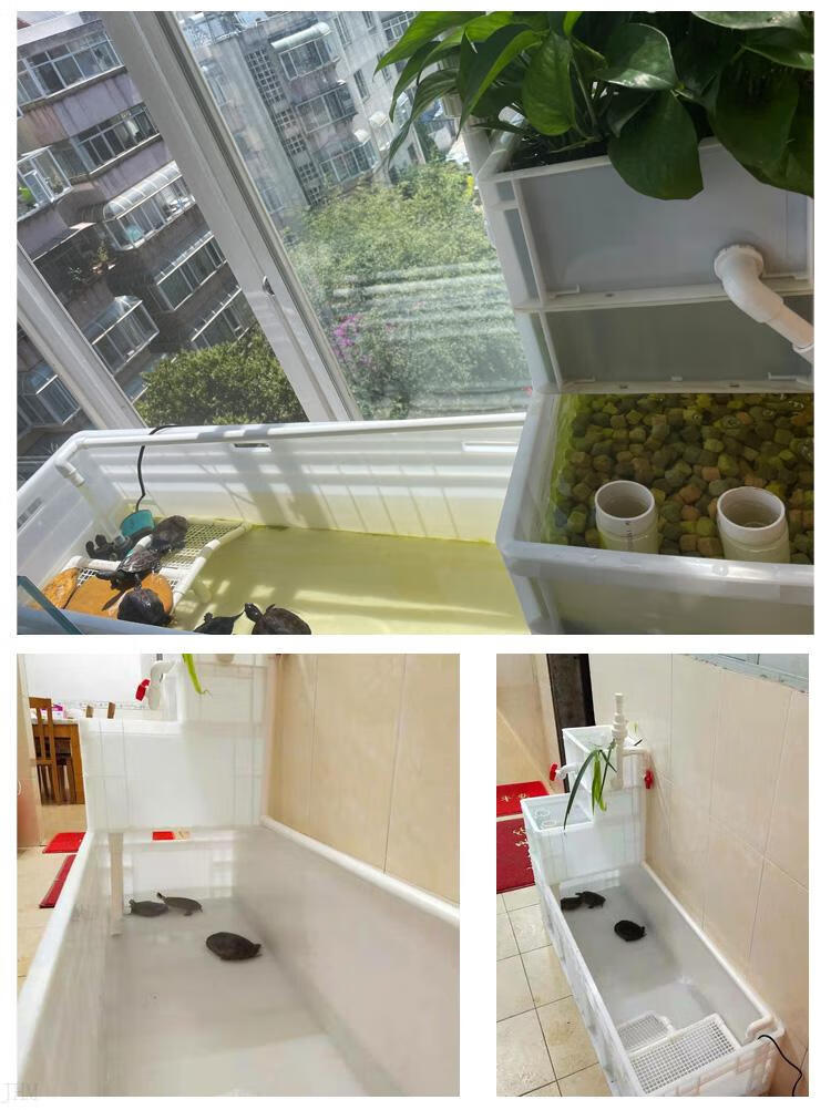 天颛阳台鱼菜共生鱼菜共生沼泽生态阳台大型周转箱循环过滤家用全套