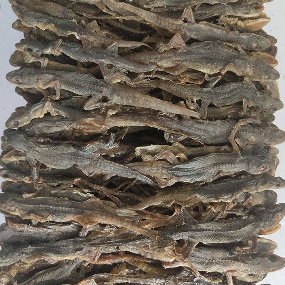 北京同仁堂原料中药材爬墙虫天龙壁虎干守宫干天龙干整条磨粉内廷上用