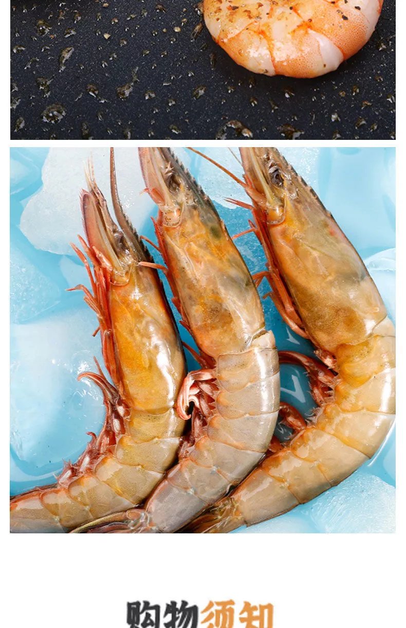 蛎虾新鲜滑皮虾鲜活冷冻海虾无冰大青壳虾大虾海鲜虾 当季鲜货1斤