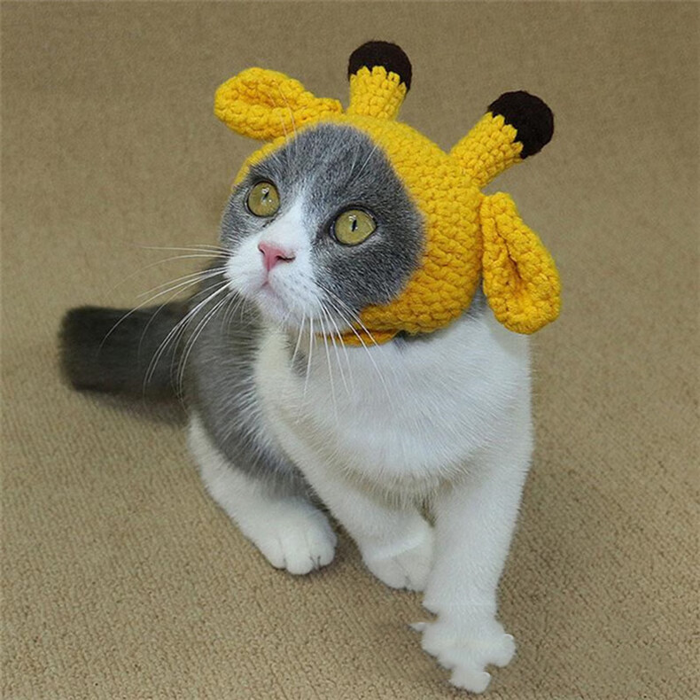 毛线头饰宠物用品宠物头饰猫头饰 湖蓝蝴蝶结款【草帽】 m码猫咪/狗狗