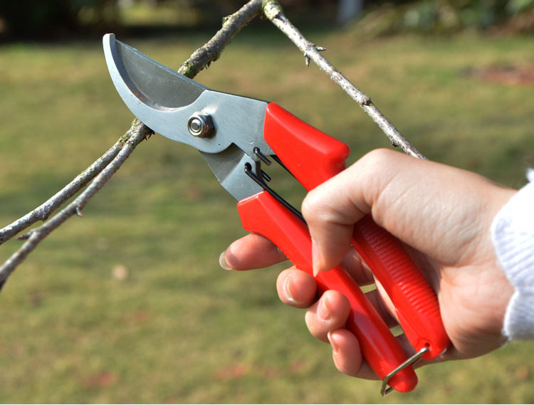 花园修剪工具花剪修枝剪树枝剪刀园艺剪刀粗枝剪园林果树剪五金工具摘