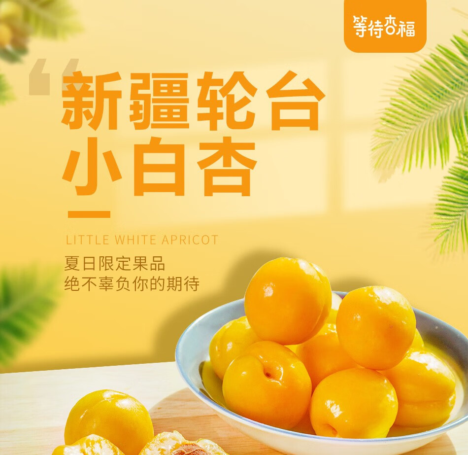 【顺丰礼盒装】新疆小红杏新鲜甜杏 轮台库车杏子小黄杏新鲜吊干杏