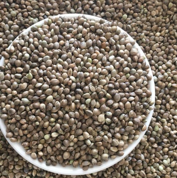 黑珍珠小瓜子/葵花子/油葵籽 鹦鹉鸟食仓鼠鸟粮鸽粮5斤麻子 火麻子(5