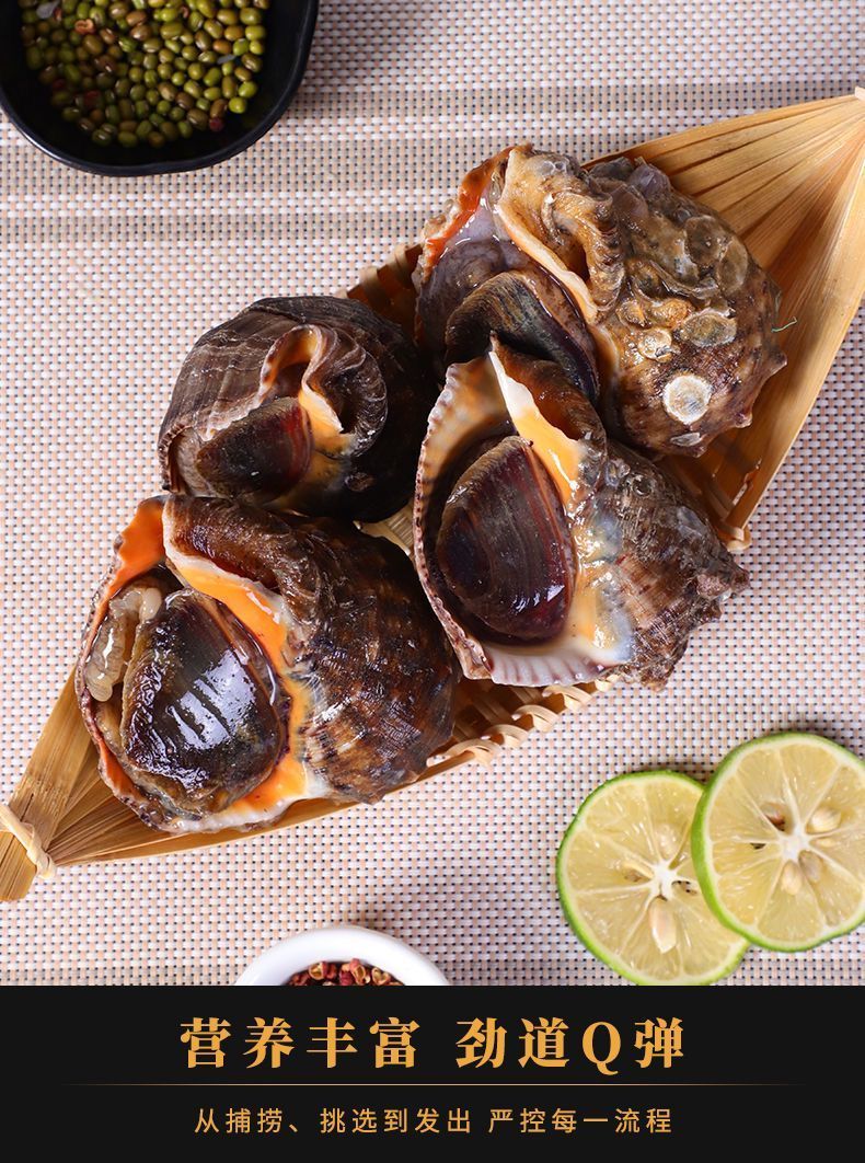 鲜活海螺海螺青岛大海螺小海螺大响螺大香螺海洋水产鲜活螺类每斤1013