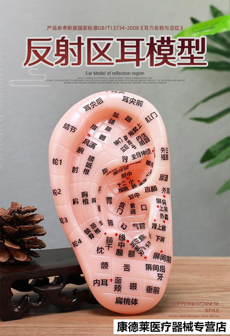 王不留行籽耳穴贴防过敏压丸贴近视耳朵穴位模型学习中医探穴笔 耳穴