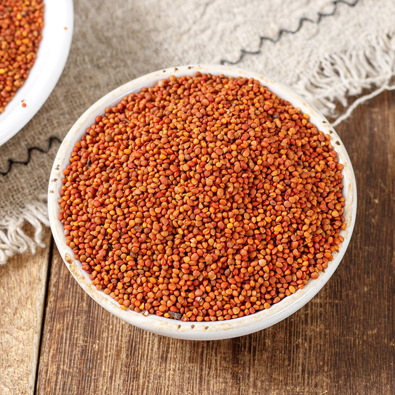 北京同仁堂中药楮实子中药材 纯正褚实子 楮实子 新鲜干货内廷上用