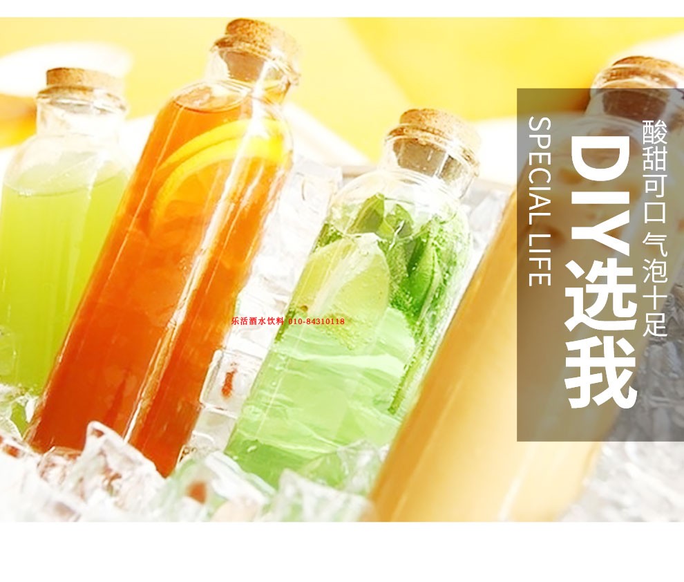 5折 加拿大姜汁汽水 355ml*24听 加拿大(canada dry)姜汁汽水干姜水