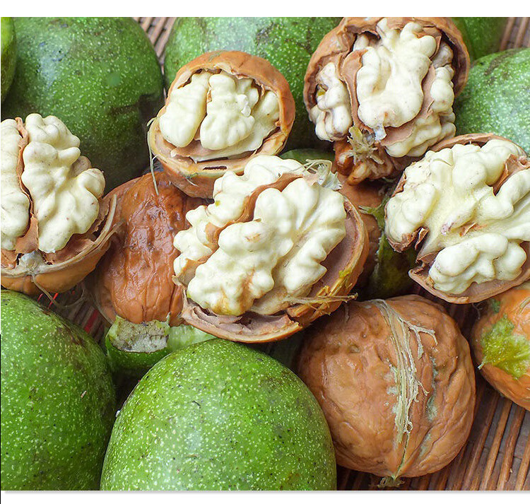 5zhe新货新鲜核桃去青皮湿核桃贵州赫章特产薄皮小孩生嫩核桃 去青皮