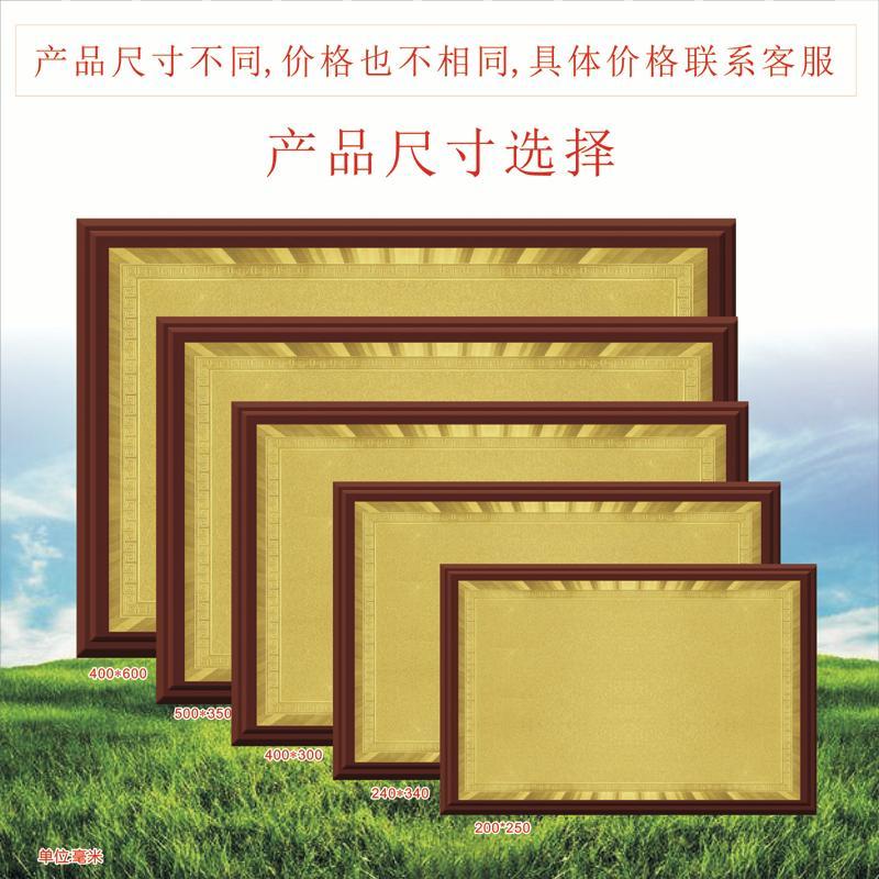 定制奖牌公司铜牌授权牌荣誉牌木托金铂奖牌代理授权牌定制科室牌 40