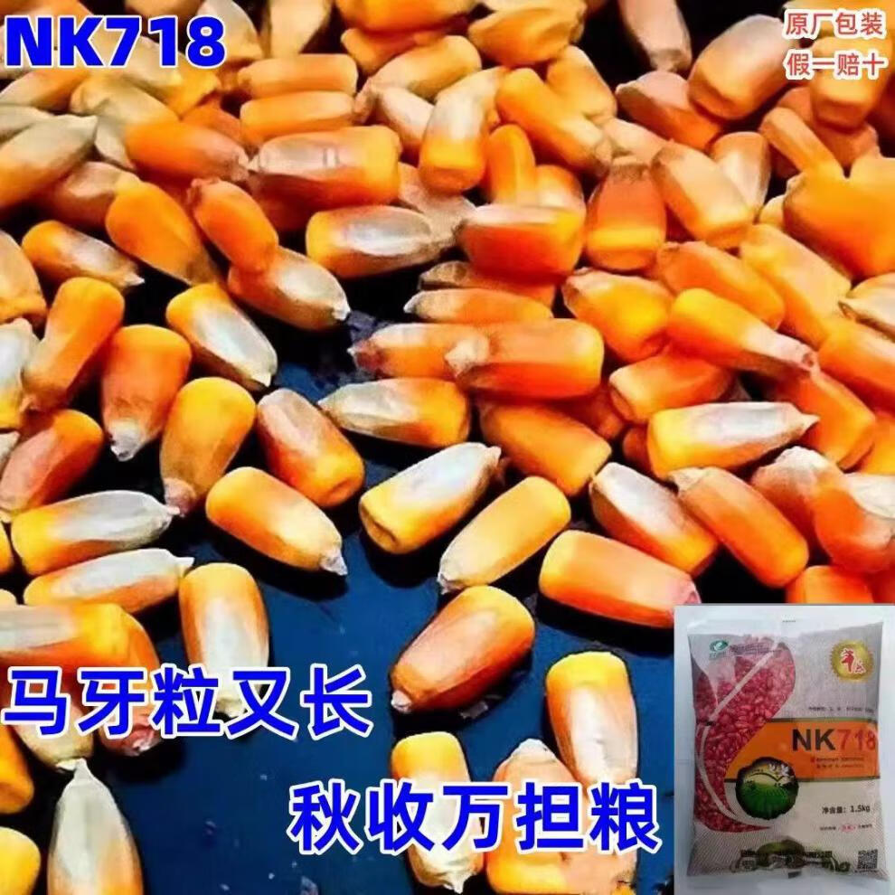 c72a82e108b8948d.jpg