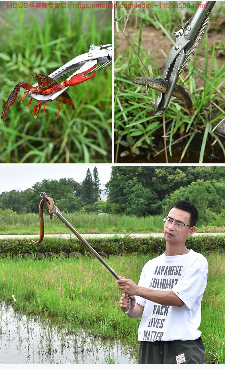 捕泥鳅黄鳝夹鳝鱼夹子不锈钢钳子防滑赶海神器抓螃蟹龙虾专用工具加厚