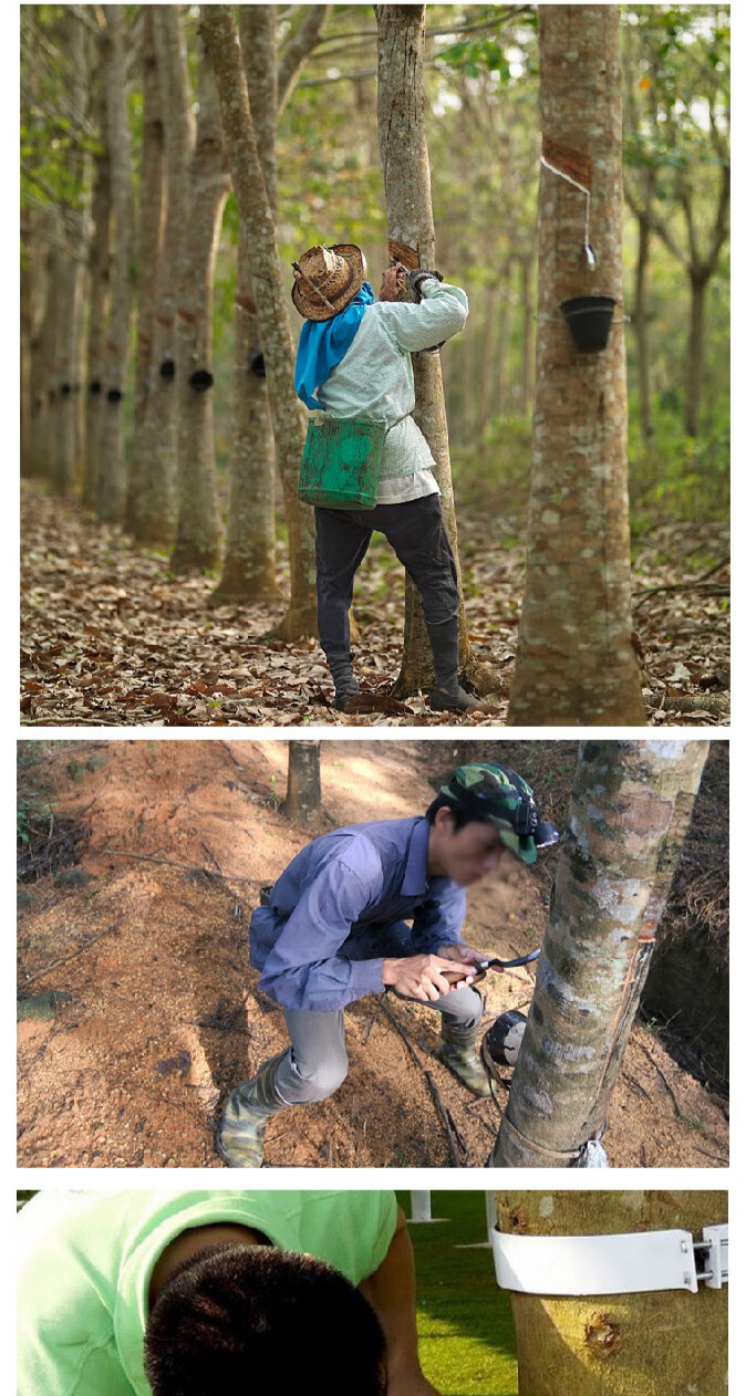 美帝伯爵高碳钢割胶刀 农场橡胶割刀 雕刻木割漆松香刀 广东阳江制造