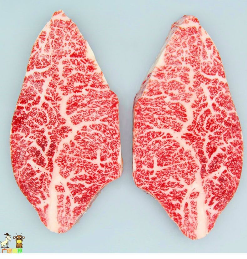 清真新鲜纯干雪花牛肉 精选部位肉 脂肪纹理丰富 适合涮火锅 煎烤 2斤