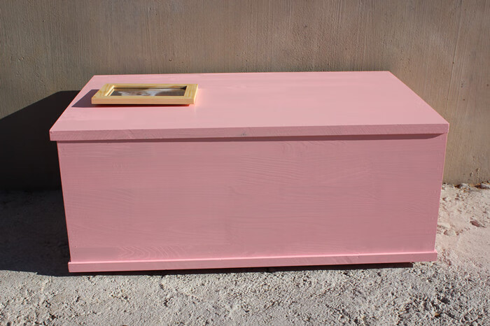 实木宠物棺材猫咪狗狗安乐窝骨灰盒宠物陪葬用品实木小棺木内部尺寸80