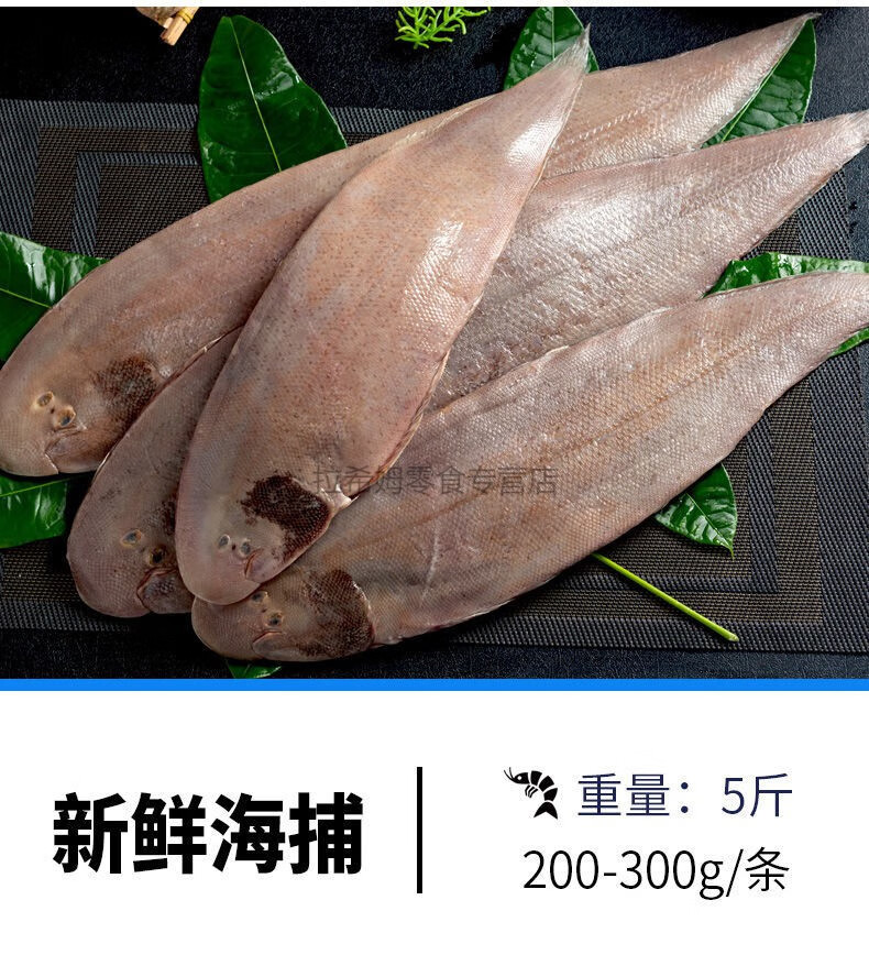 鱼龙利鱼冷冻新鲜活舌鳎目鱼巴沙鱼无刺水产 3斤装 特大号【图片 价格