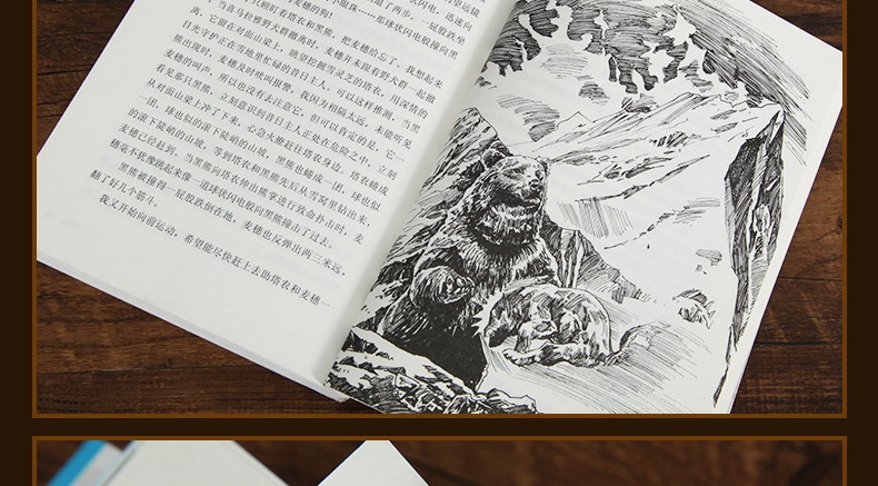 正版沈石溪动物小说品藏书系列金蟒蛇小学生课外阅读书籍