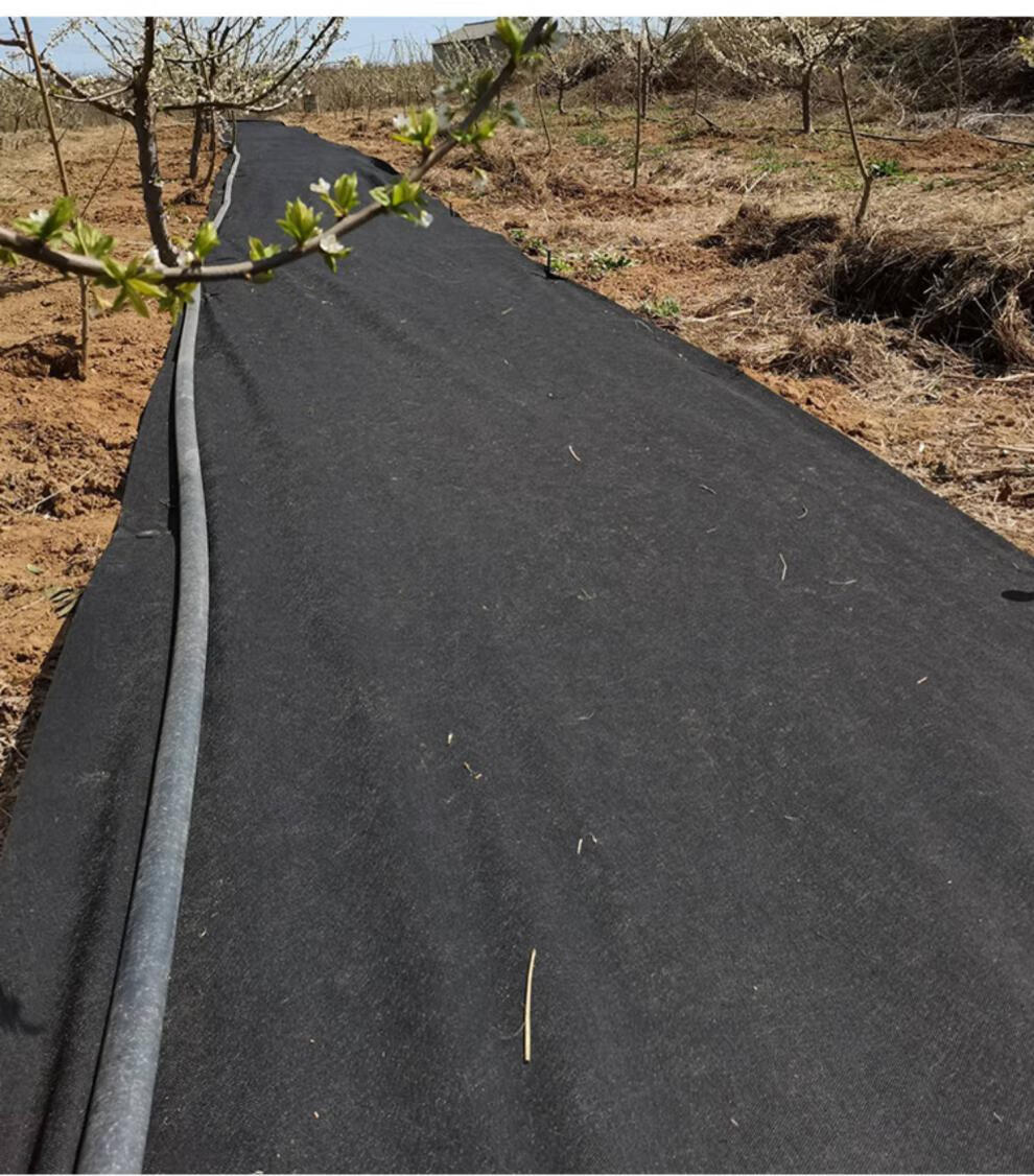 防草布耐用果树果园地布除草布农用新型地膜生态无纺布园艺 切片4-5年