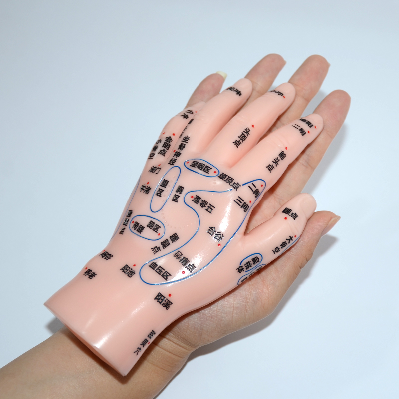 善易器械店 超清晰软质刻字版手部按摩反射区穴位模型手模左手掌背