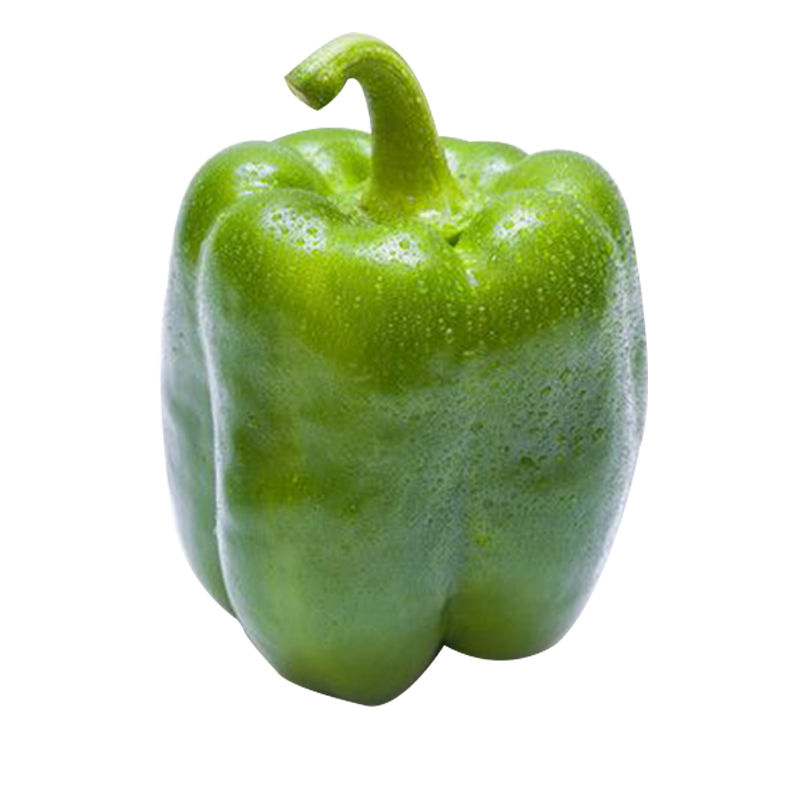 农家自种圆椒新鲜蔬菜圆辣椒灯笼椒不辣2斤装